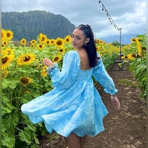 Japanese Cupcake Dress